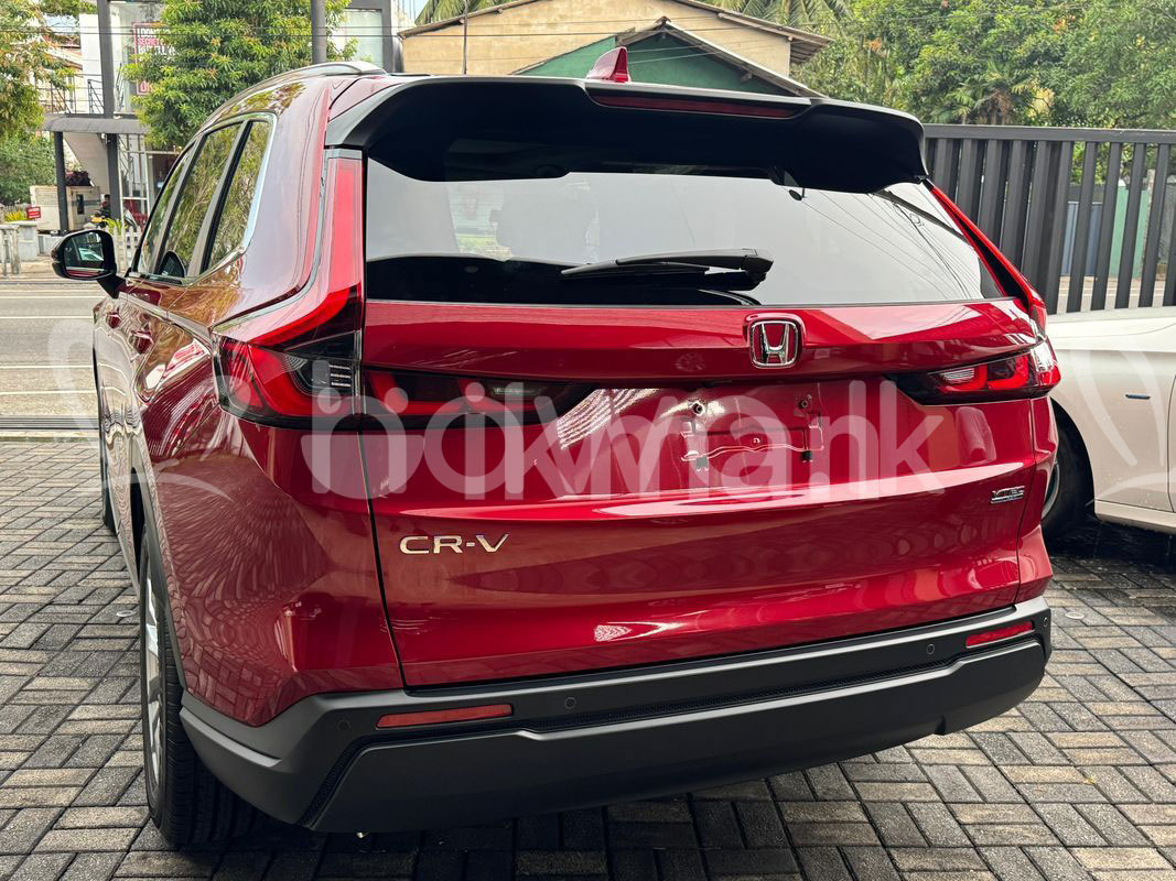Ad photo 16