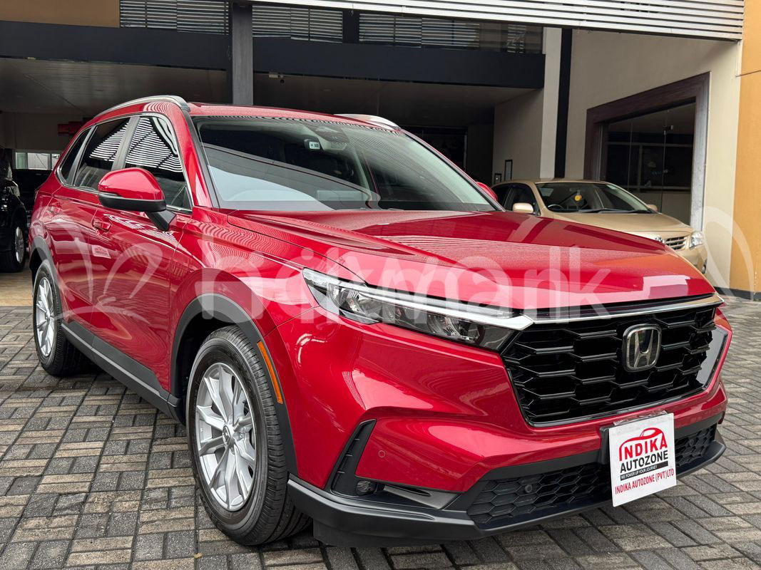 Ad photo 14